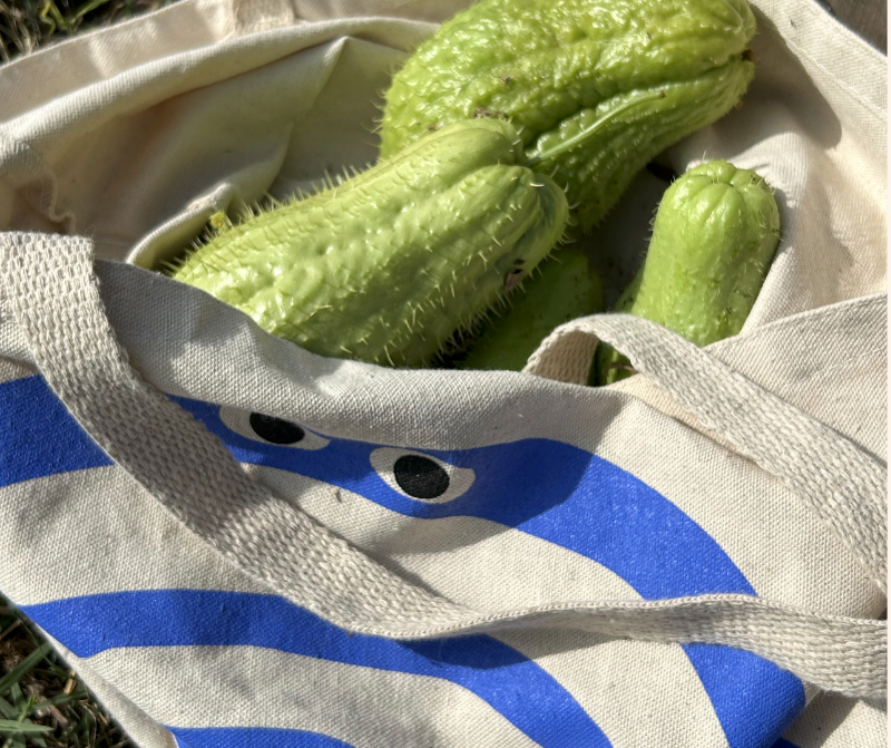 Spiral Tote